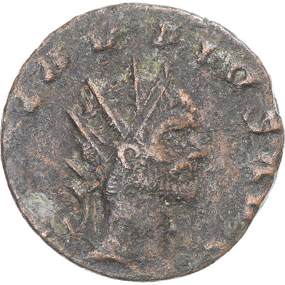 Moneta, 
  
  Divus Klaudiusz II Gothicus, 
  
  Antoninian