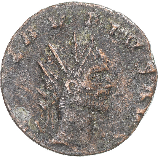 Moneta, 
  
  Divus Klaudiusz II Gothicus, 
  
  Antoninian
