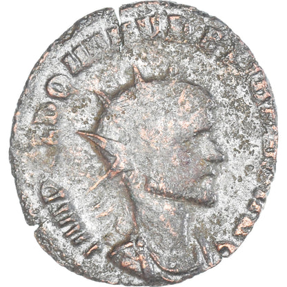 Moneta, 
  
  Klaudiusz II (Gotyk), 
  
  Antoninian