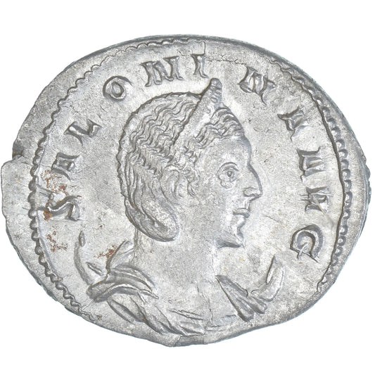 Moneta, 
  
  Saloninie, 
  
  Antoninian