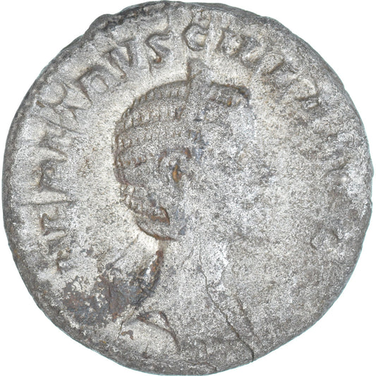 Moneta, 
  
  Herennia Etruscilla, 
  
  Antoninian