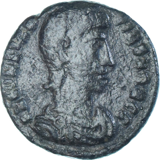 Moneta, 
  
  Konstancjusz Gallus, 
  
  Follis
