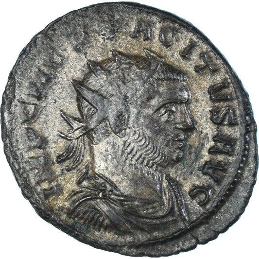 Moneta, 
  
  Tacyt, 
  
  Antoninian