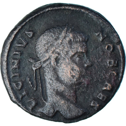 Moneta, 
  
  Licyniusz II, 
  
  Follis